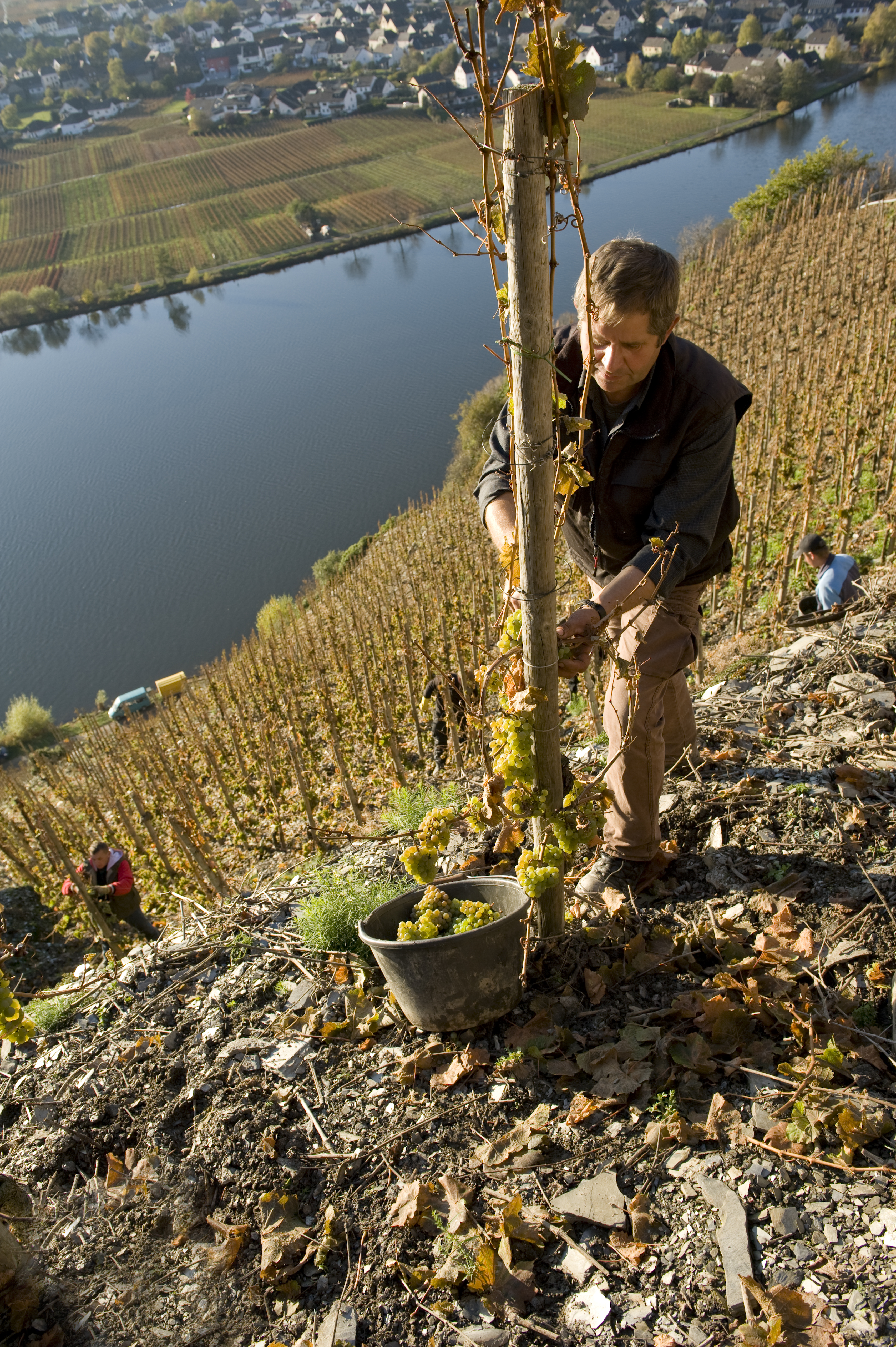 Harvesting Single Posts Credits Jon Wyand
