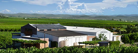 Arendsig winery
