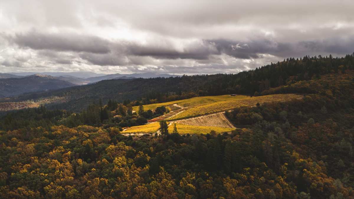 CANDLESTICK-RIDGE-ESTATE-VINEYARDS_1920X1080