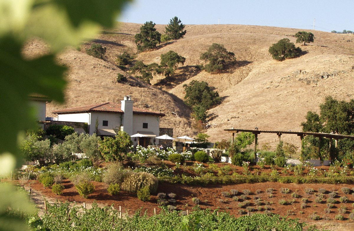 Hayes Valley Wines Vineyards