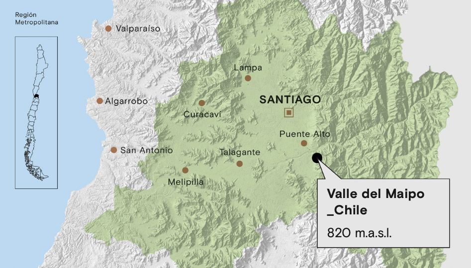 Valle del Maipo_Chile