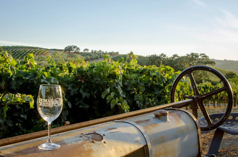 Christina W Photo_Pomar Junction Vineyard