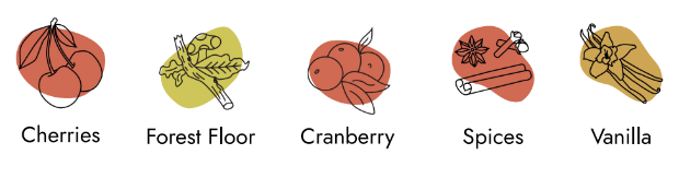 Sean-Minor-Wine-Tasting-Profile