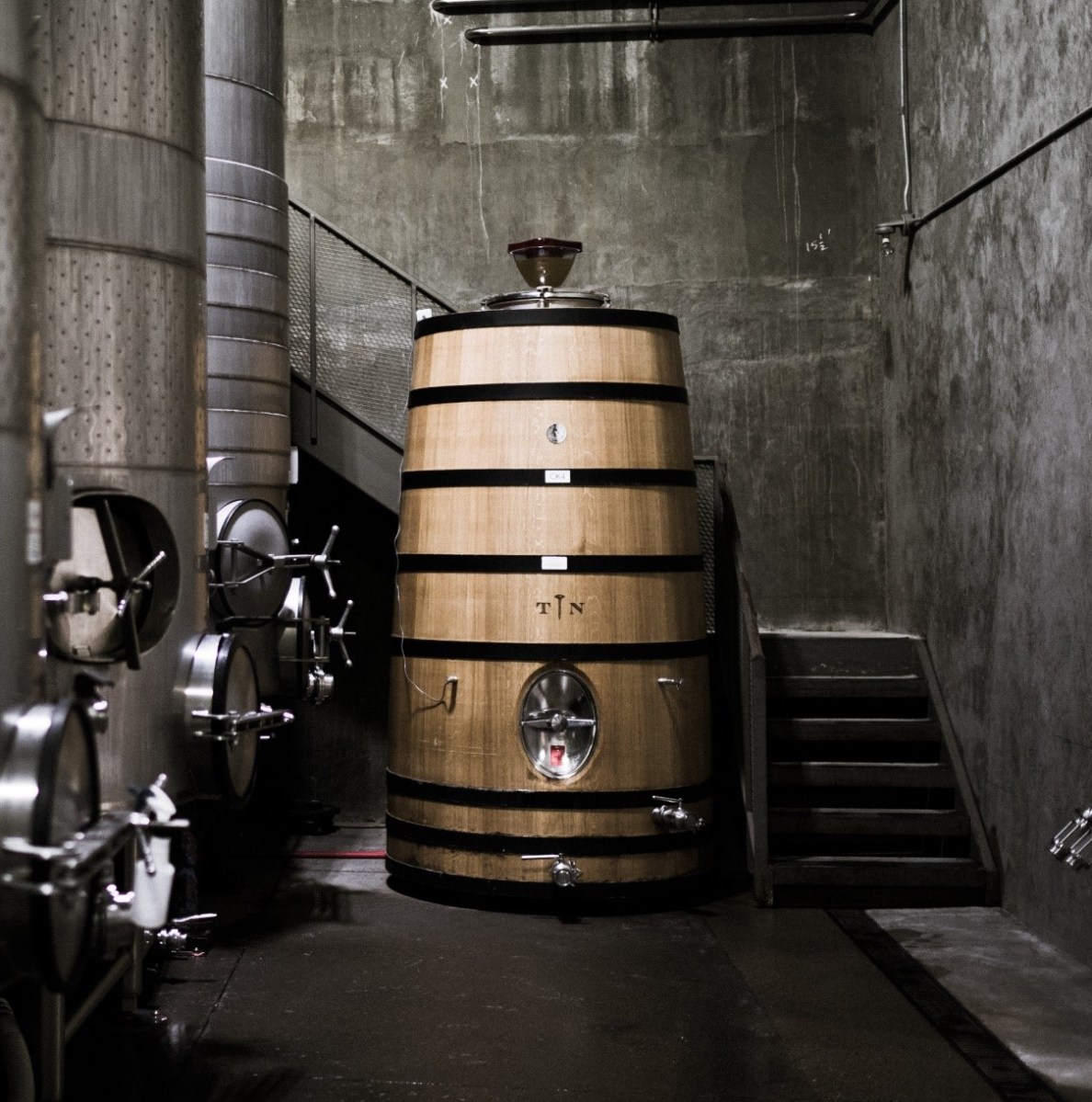 Tooth and Nail Foudre