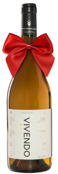 Calyptra Vivendo Chardonnay wine bottle with bow