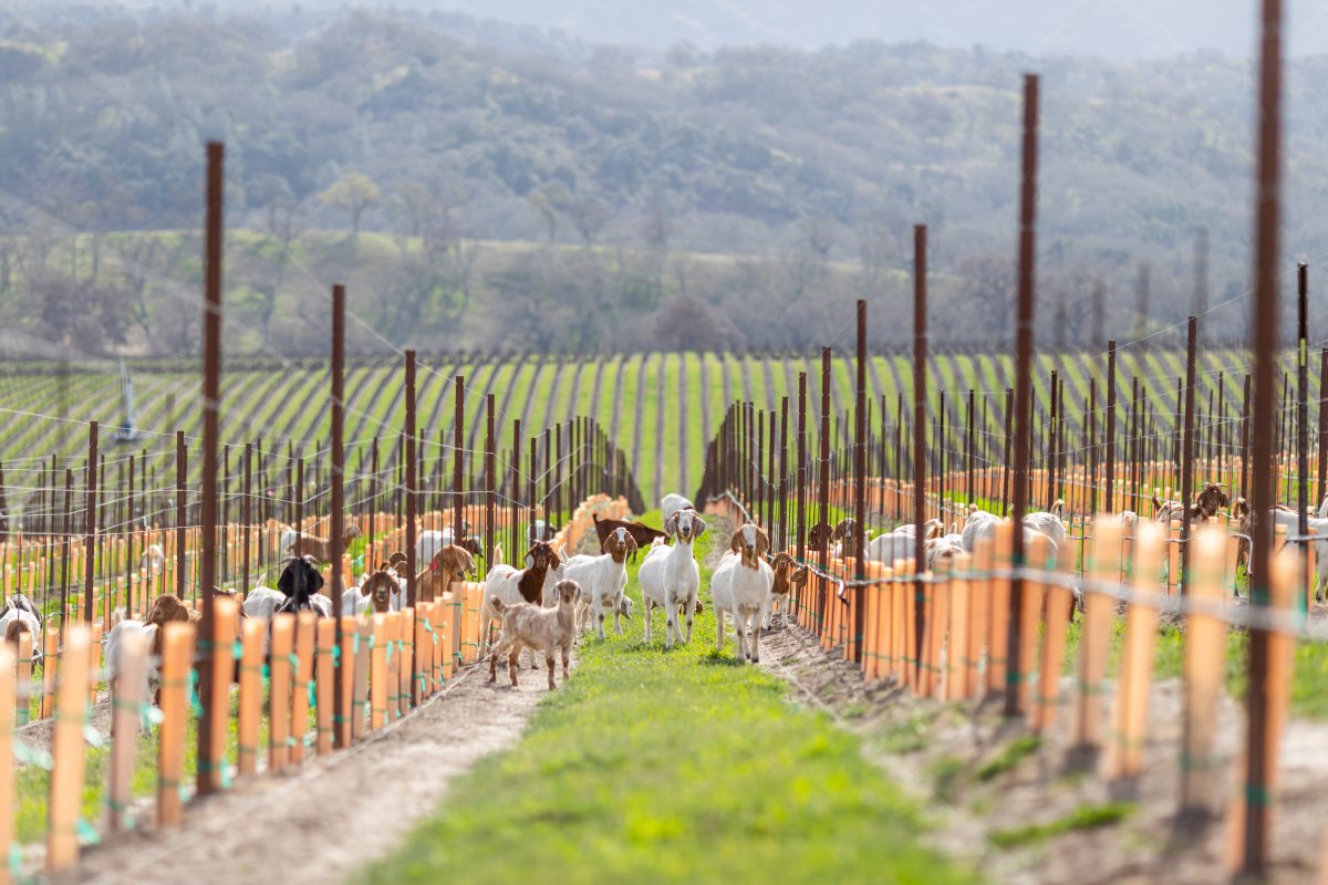 Sustainability - Photo by Cameron Ingalls