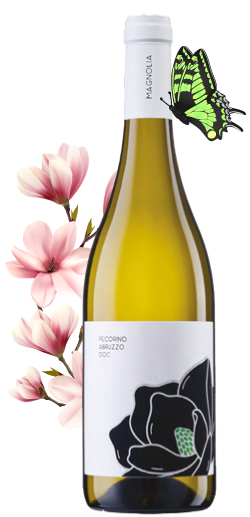 Magnolia_Pecorino-Abruzzo-DOC-flower