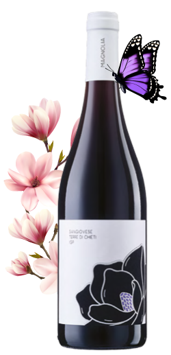 Magnolia_Sangiovese-flower