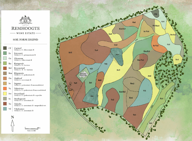 Remhoogte vineyard map