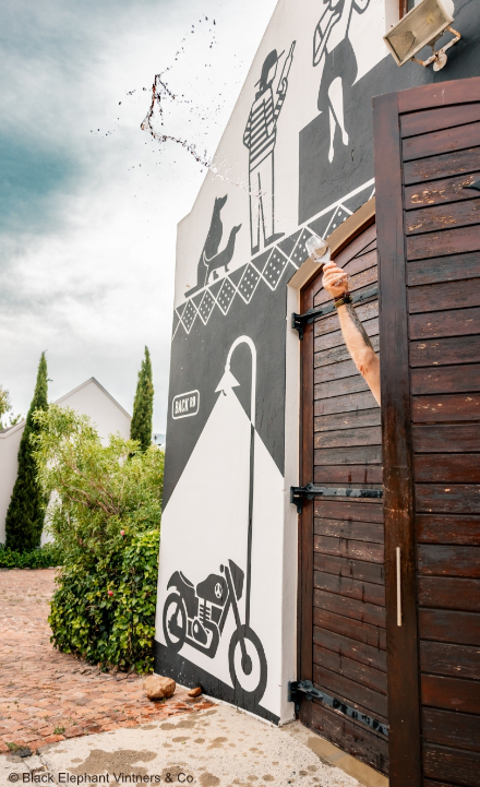 Photo-By-Black-Elephants-Vintners-Co