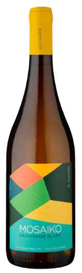 Calyptra_Bottle_SB_Mosaiko